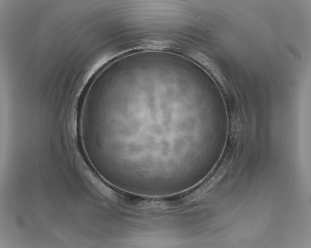 X0000111011083200906191607