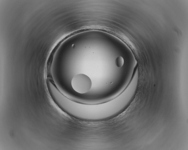 X0000111011084200906191607