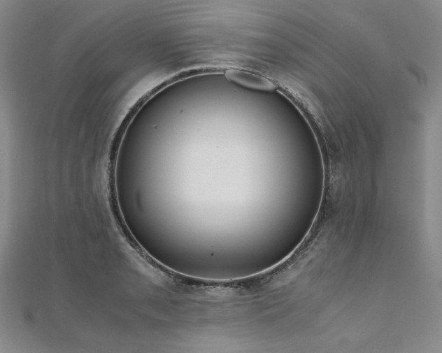 X0000111011085200906191607