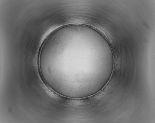 X0000111011086200906191607