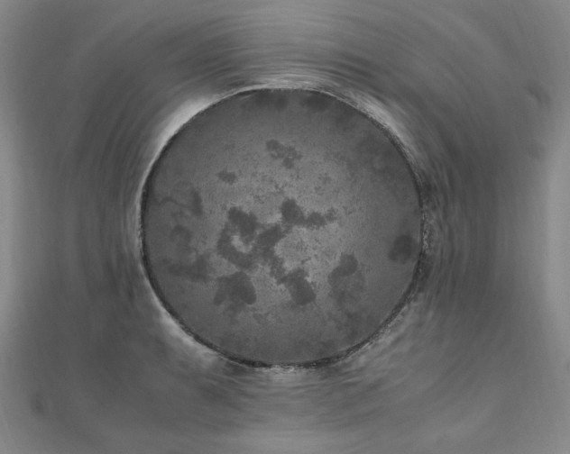 X0000111011087200906191607