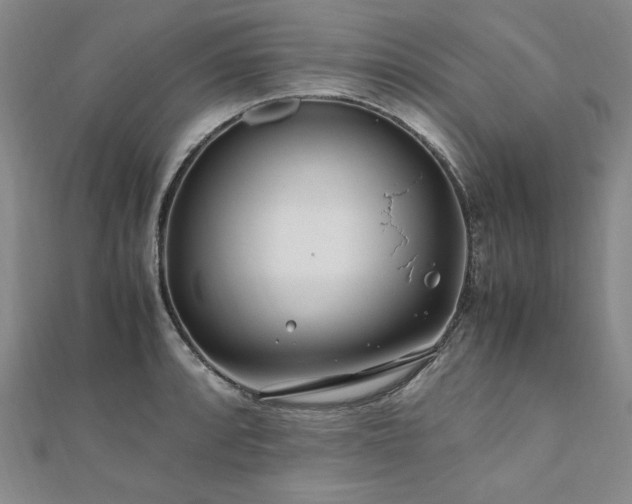 X0000111011088200906191607