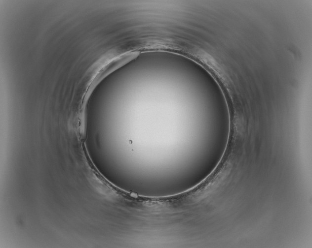 X0000111011089200906191607