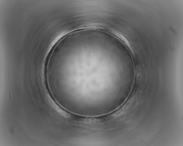 X0000111011091200906191607