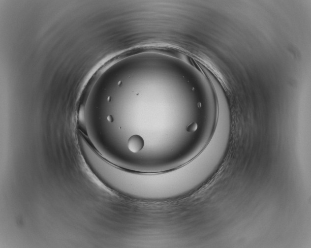 X0000111011092200906191607