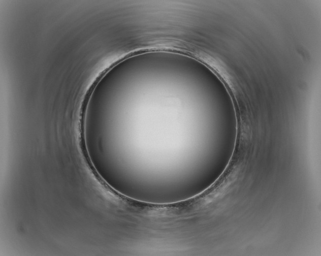 X0000111011093200906191607