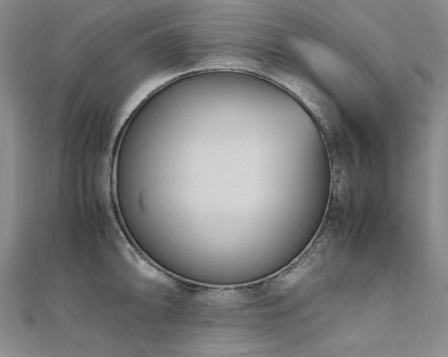 X0000111011094200906191607