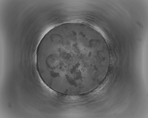 X0000111011095200906191607