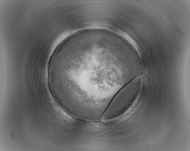 X0000111011096200906191607