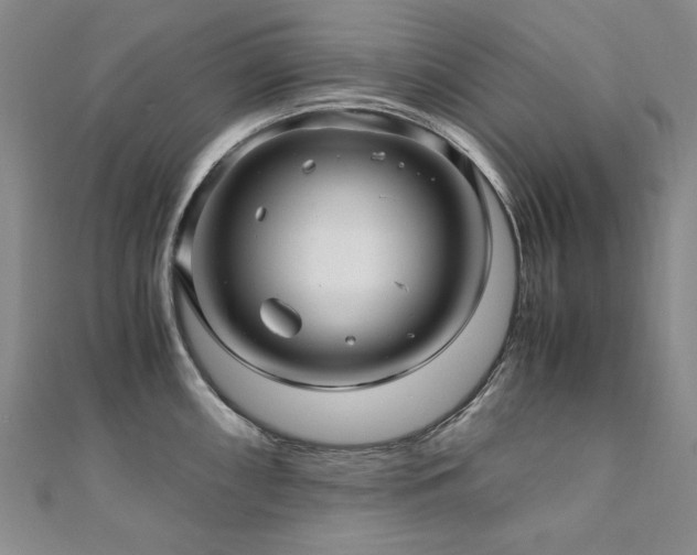 X0000111011098200906191607