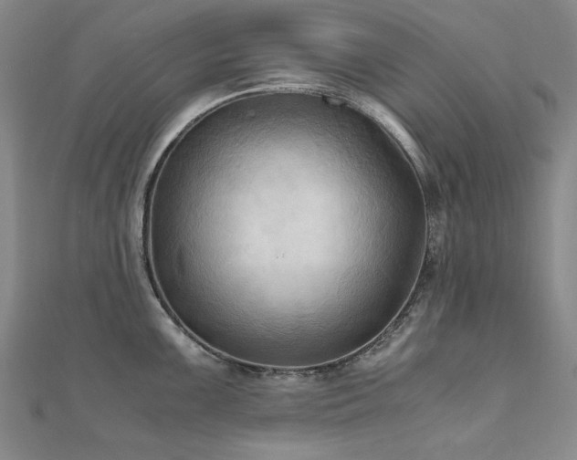 X0000111011099200906191607