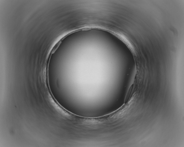 X0000111011100200906191607