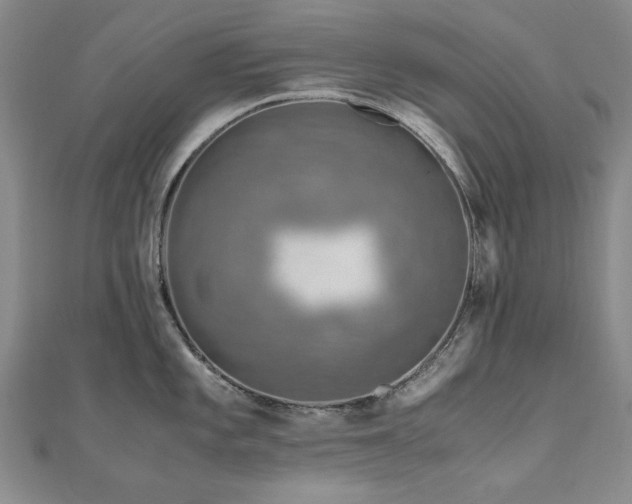 X0000111011101200906191607