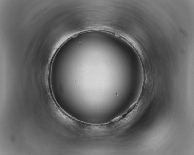 X0000111011102200906191607