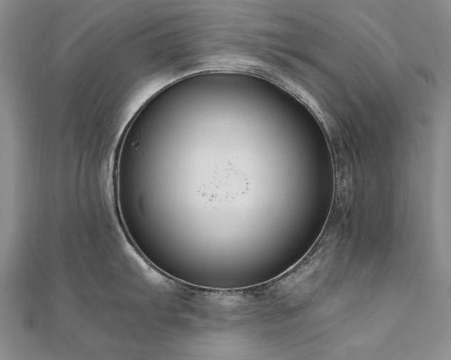 X0000111011103200906191607