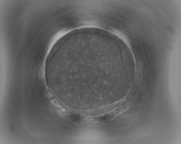 X0000111011104200906191607