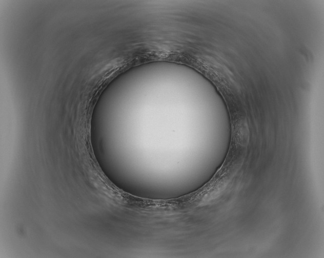 X0000111011105200906191606