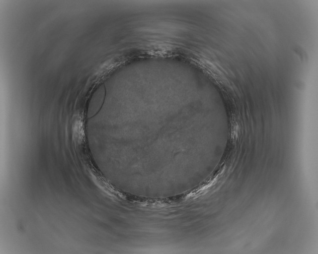 X0000111011106200906191606