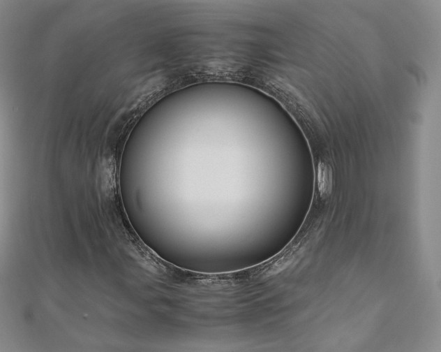 X0000111011107200906191606