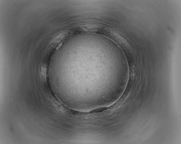 X0000111011108200906191606