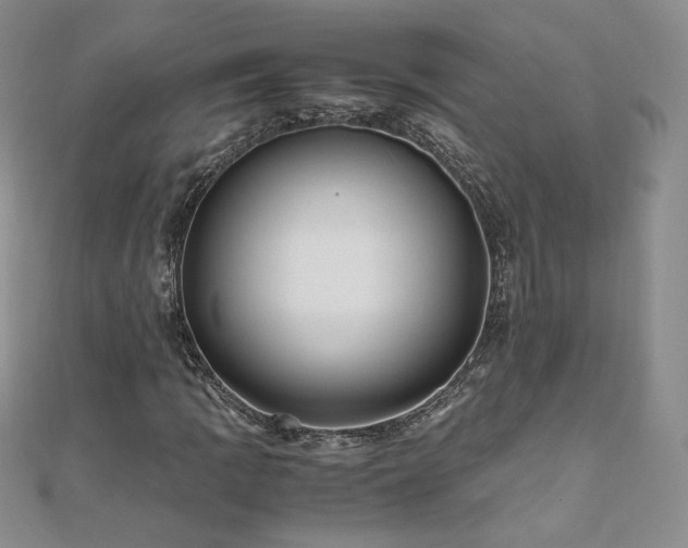 X0000111011109200906191606