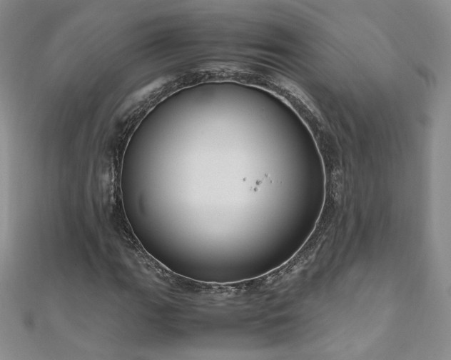 X0000111011111200906191606