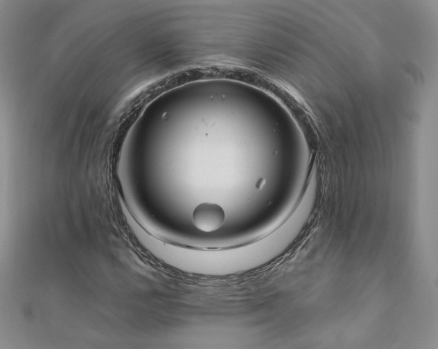 X0000111011112200906191606