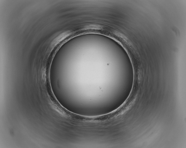 X0000111011113200906191606