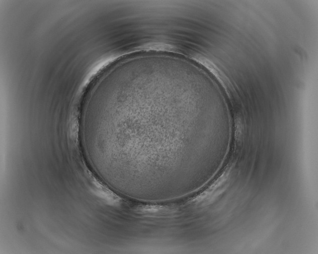 X0000111011115200906191606