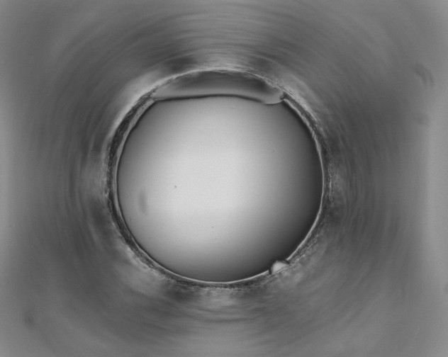 X0000111011116200906191606