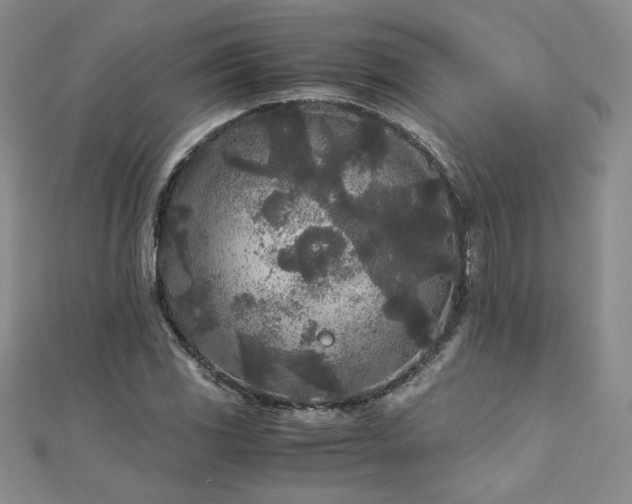 X0000111011117200906191606