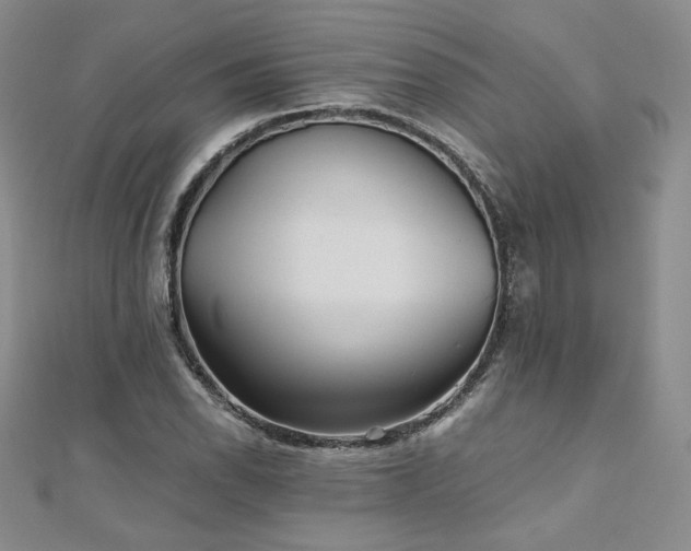 X0000111011118200906191606