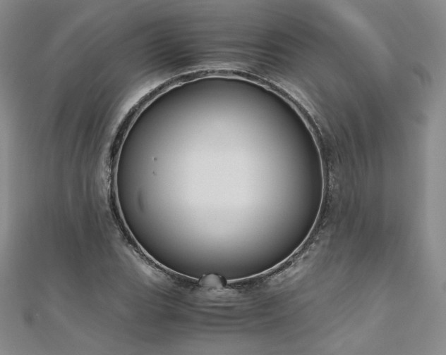 X0000111011119200906191606
