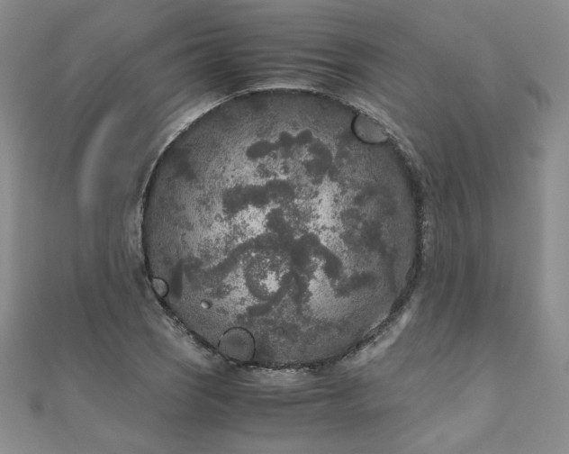 X0000111011121200906191606