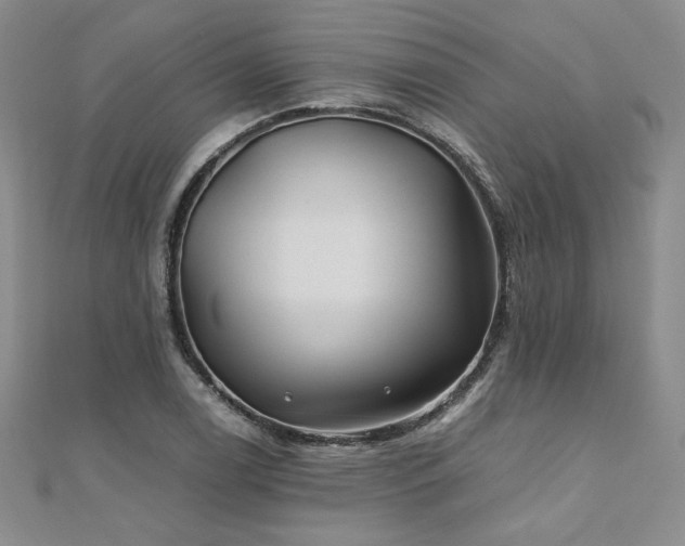 X0000111011122200906191606