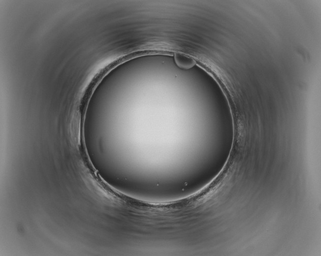 X0000111011123200906191606