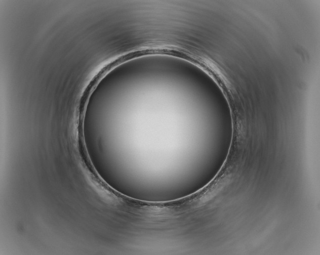 X0000111011124200906191606