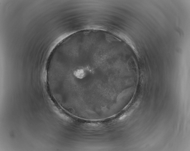 X0000111011125200906191606