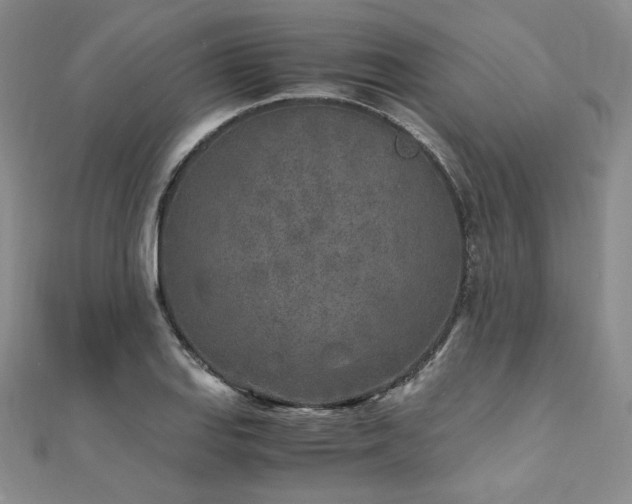 X0000111011127200906191606