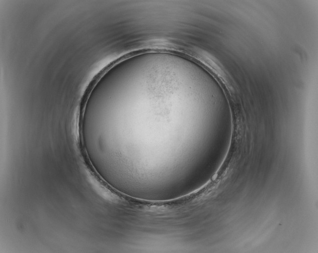 X0000111011128200906191606