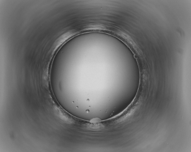 X0000111011129200906191606