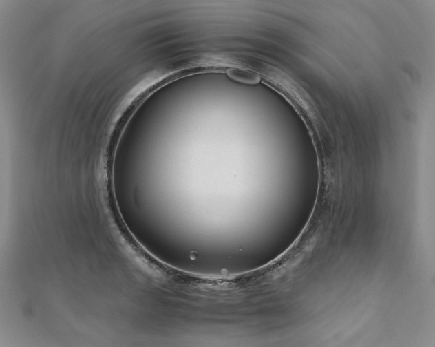 X0000111011133200906191606