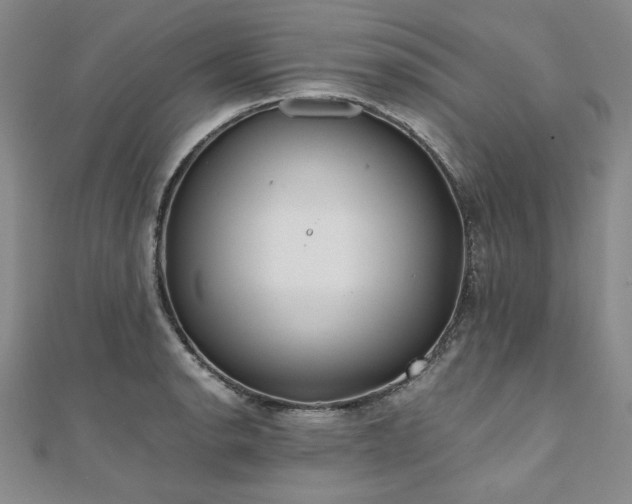 X0000111011134200906191606