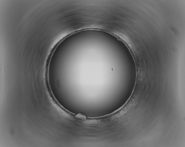X0000111011135200906191606