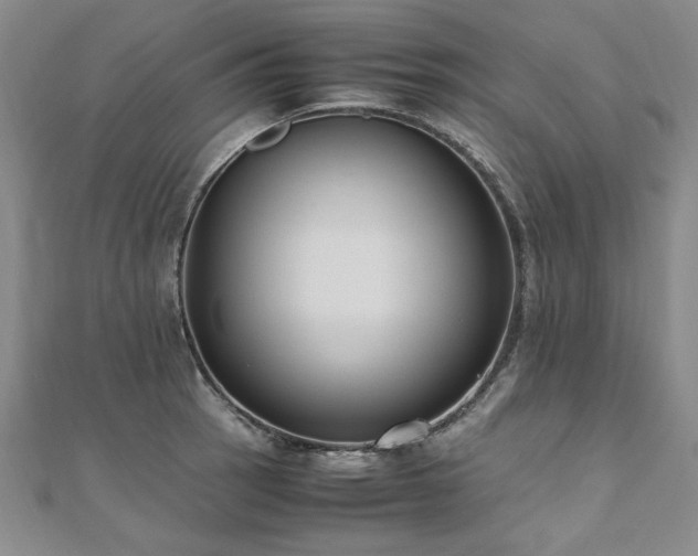 X0000111011137200906191606