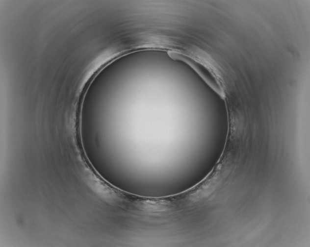 X0000111011138200906191606