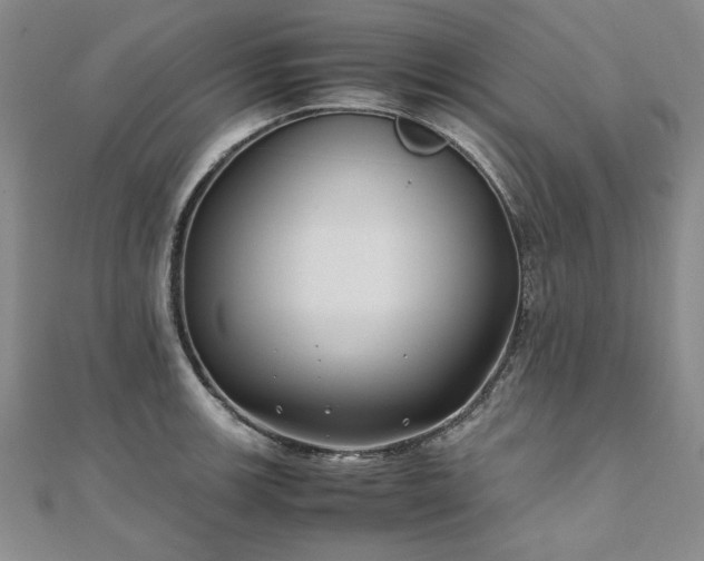 X0000111011139200906191606
