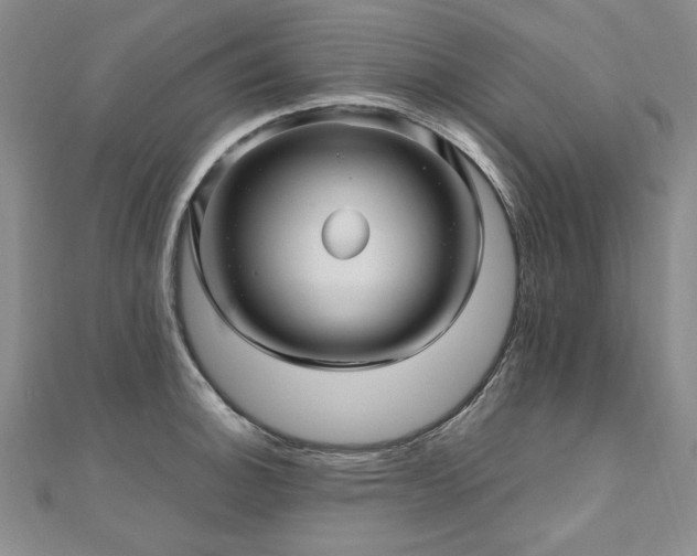 X0000111011140200906191606