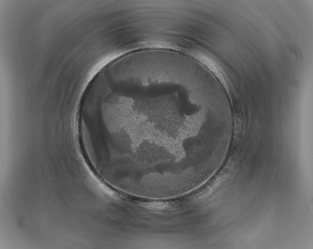 X0000111011141200906191606