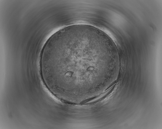 X0000111011142200906191606